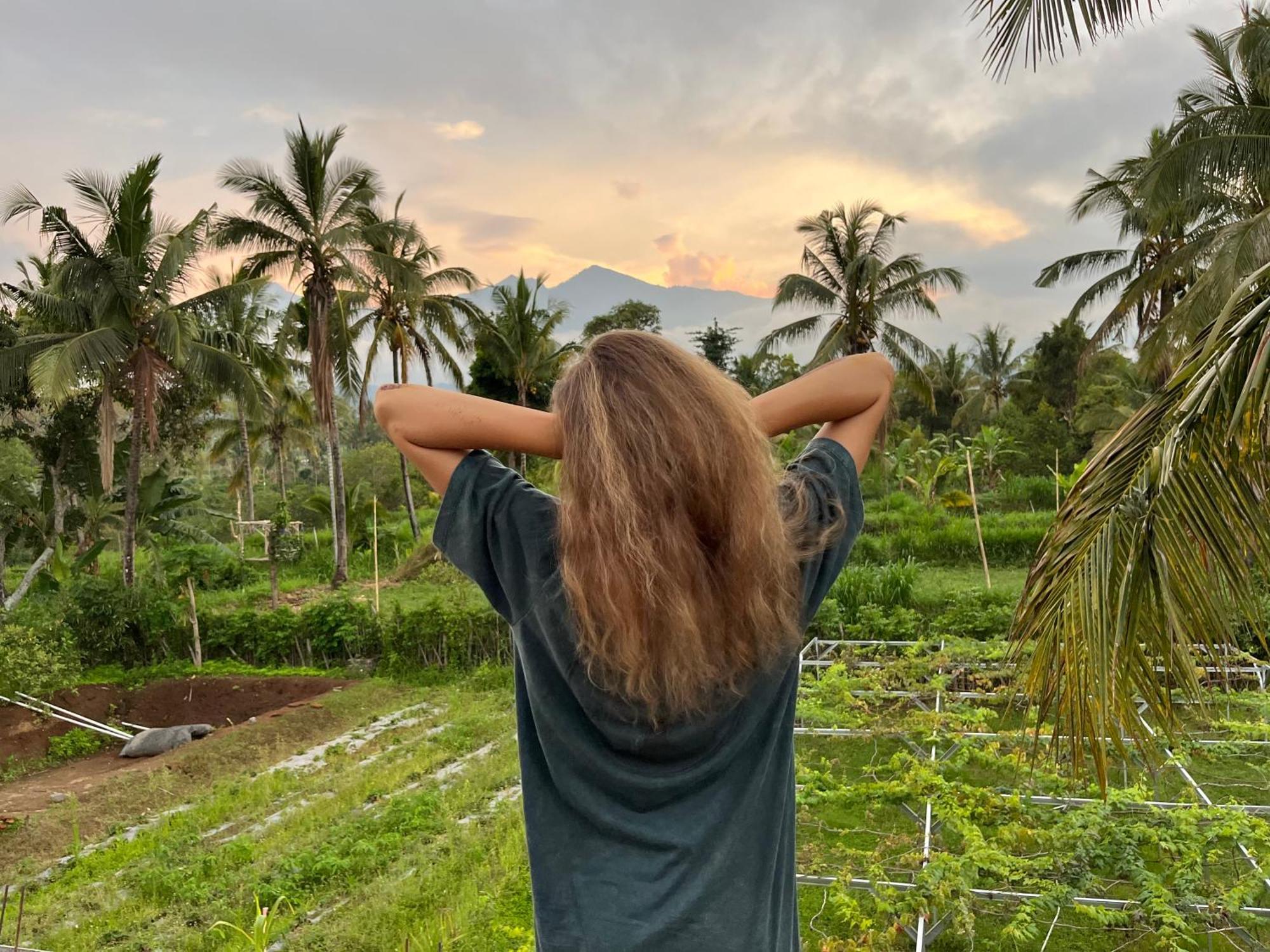 Rinjani Eco Villa Senaru Bayan Eksteriør bilde