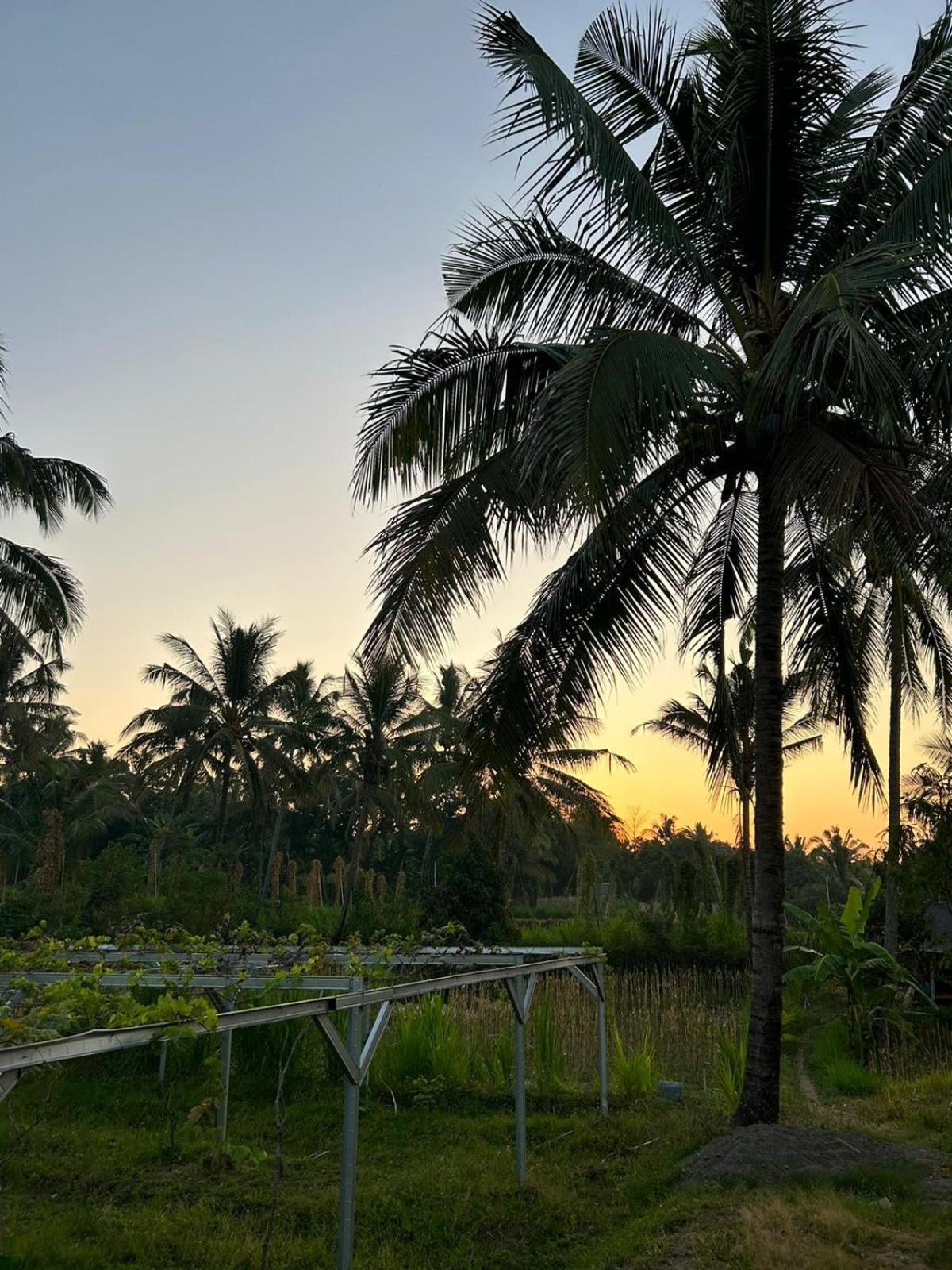 Rinjani Eco Villa Senaru Bayan Eksteriør bilde