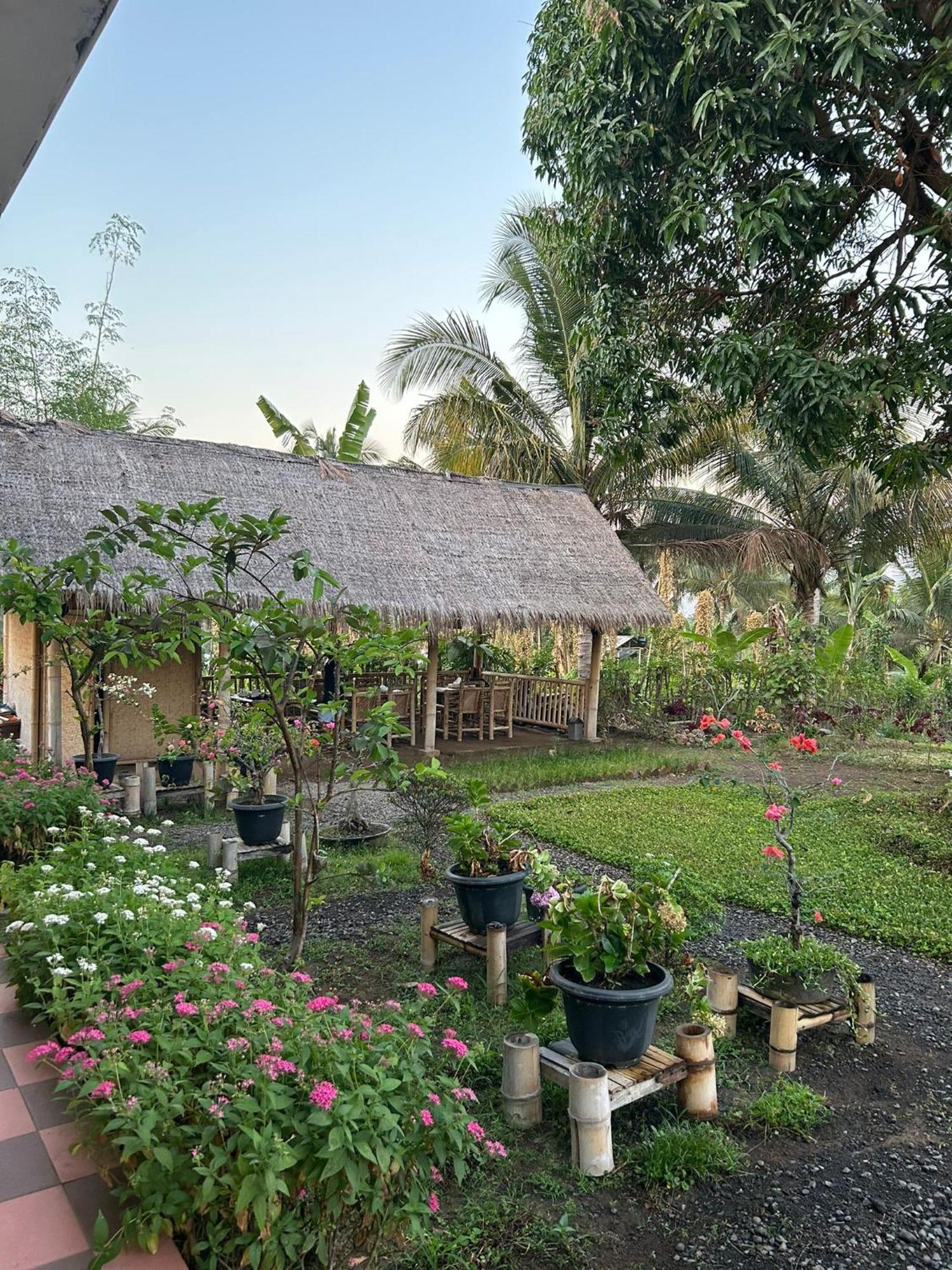 Rinjani Eco Villa Senaru Bayan Eksteriør bilde